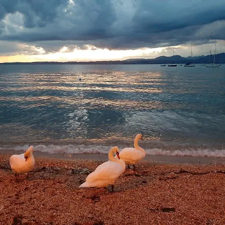 Apartamento Front With Loft Bed And Pool *