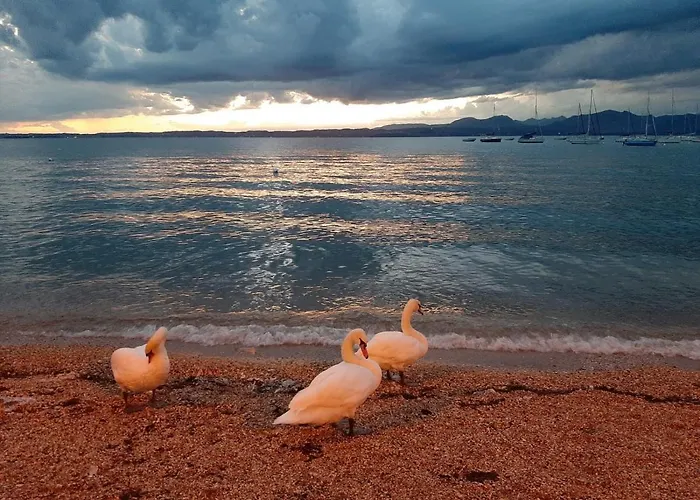 Lejlighed Front With Loft Bed And Pool *