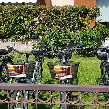 Front With Loft Bed And Pool