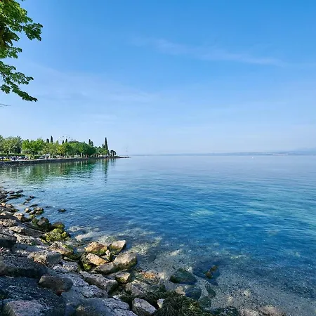 Front With Loft Bed And Pool Daire